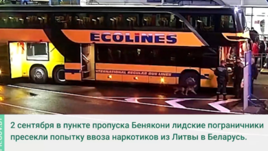 лидские пограничники задержали