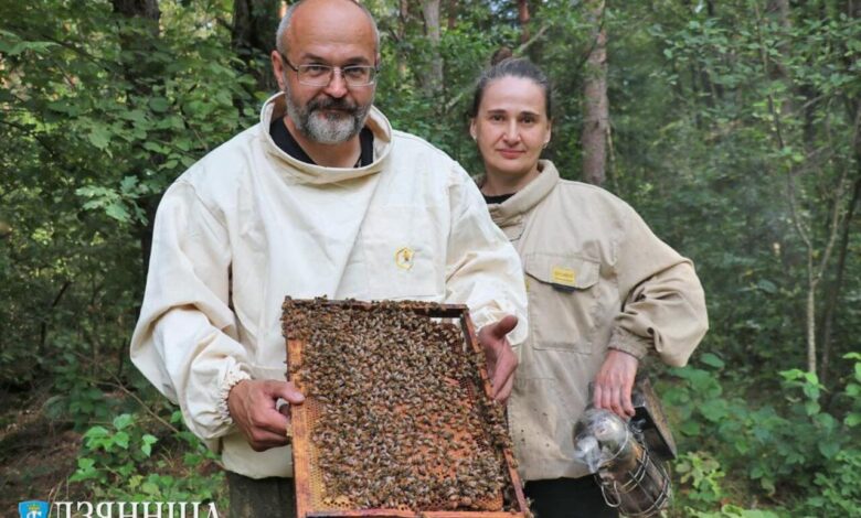 История пчеловода Дмитрия Акуло