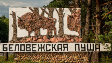 Белорусские заказники и нацпарки