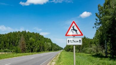Трассу "Минск-Гродно"