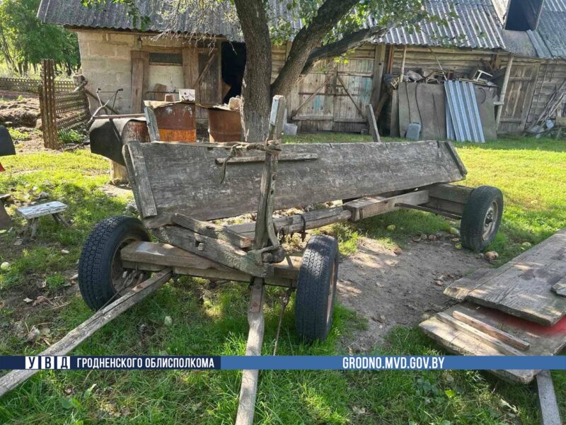Под Зельвой