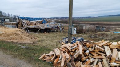 Белорусы планировали переехать жить