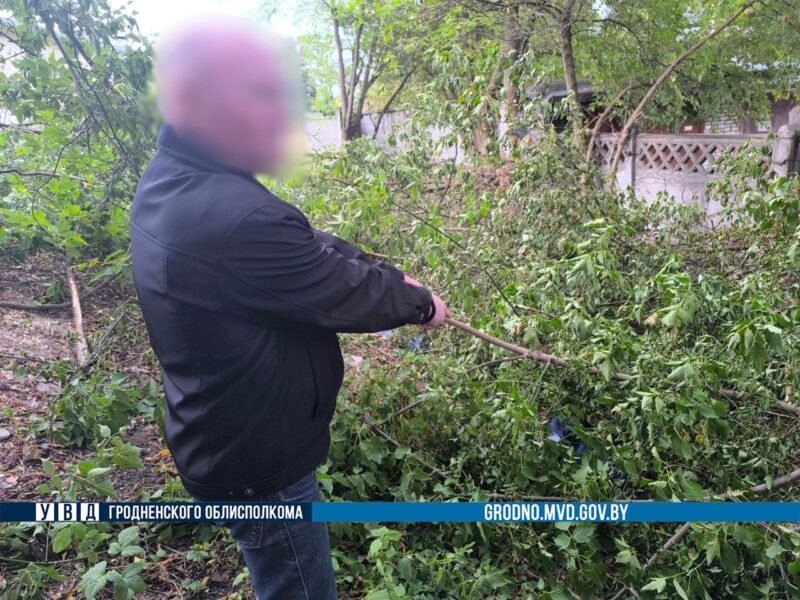 В Гродно