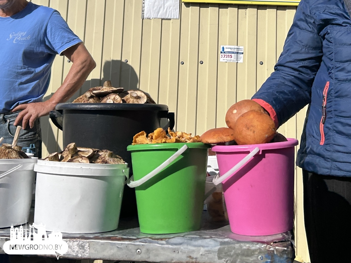 Что продают осенью на гродненских рынках