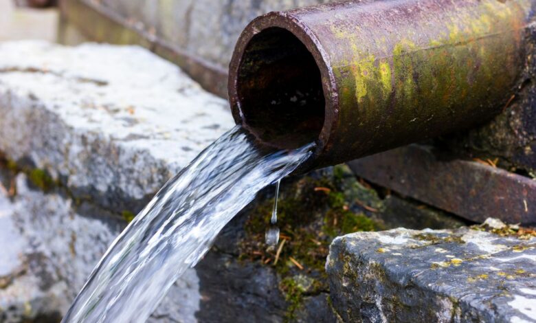 В Беларуси вводят единые