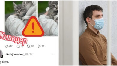 В соцсетях подозревают