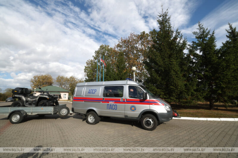 В лес за грибами без паники:
