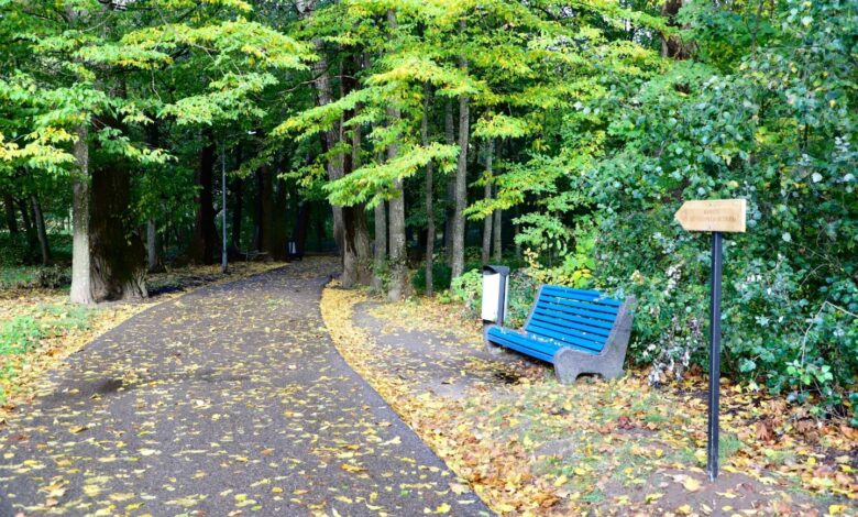 В Гродно