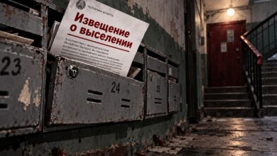 Тараканы