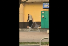 в Могилёве