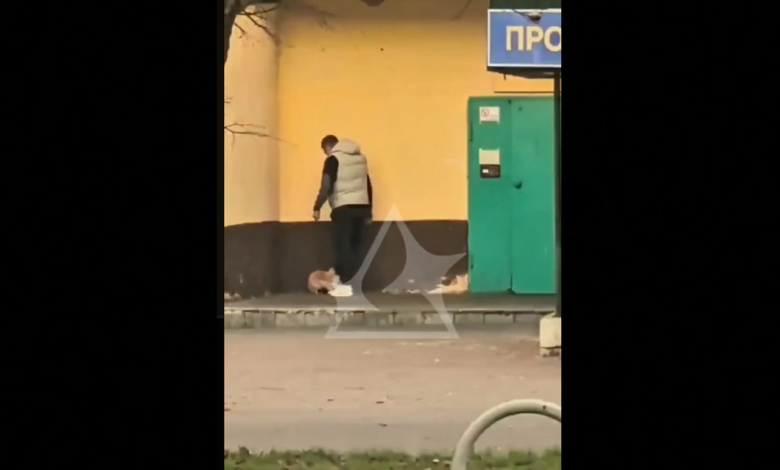 в Могилёве