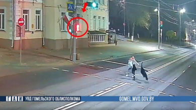 В Гомеле две женщины