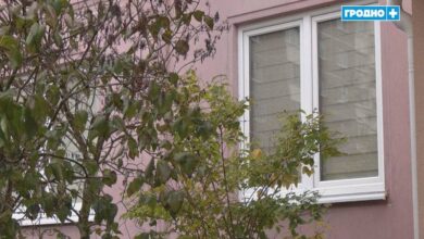 в Гродно неплательщицу выселили
