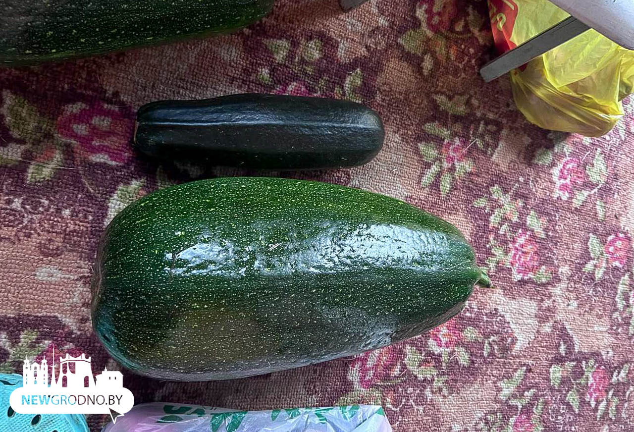 На даче под Гродно