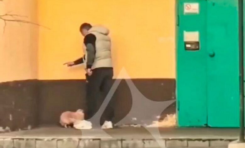 в Могилёве