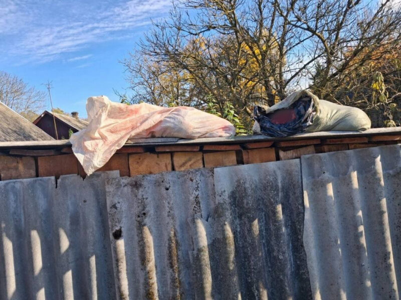 Под Кобрином браконьеры