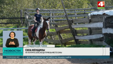 под Гродно
