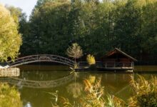Новый культурно-исторический