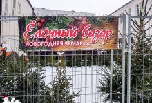 В Гродно стартует сезон продажи новогодних елей